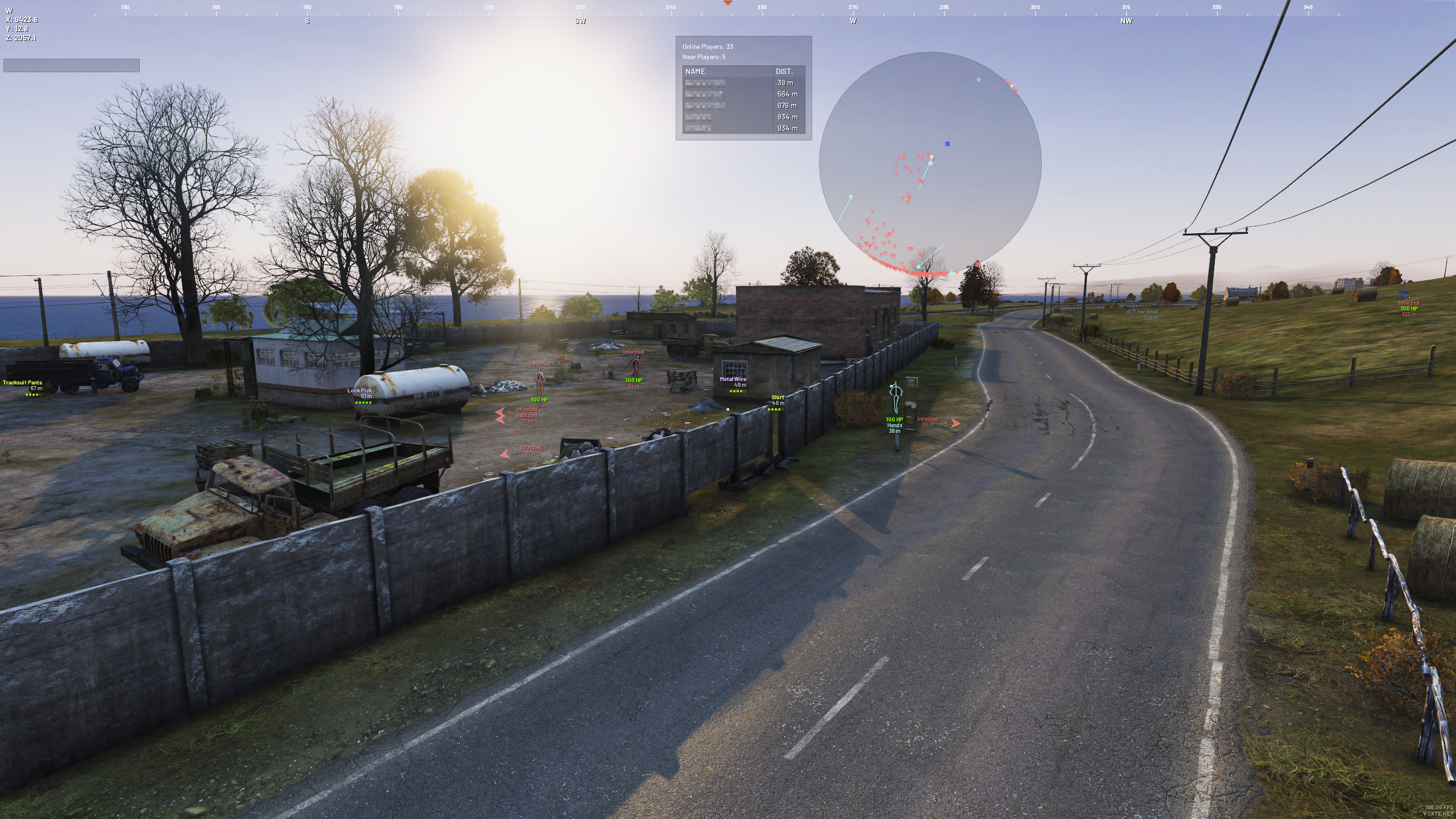 DayZ image 3